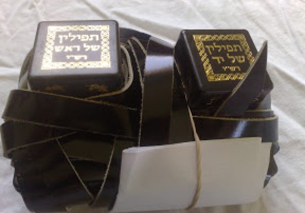 מגוון סוגי תפילין