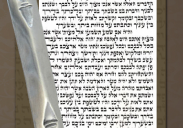 בדיקת מזוזות בטכס
