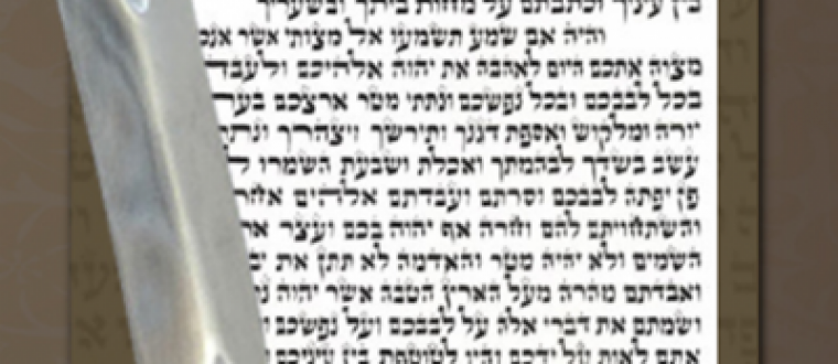 בדיקת מזוזות בטכס